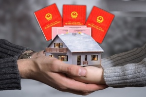 Tư vấn chuyển nhượng đất đai và giải quyết tranh chấp trong giao dịch chuyển nhượng đất đai