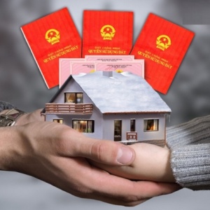 Tư vấn chuyển nhượng đất đai và giải quyết tranh chấp trong giao dịch chuyển nhượng đất đai